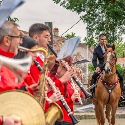 Cavaliere